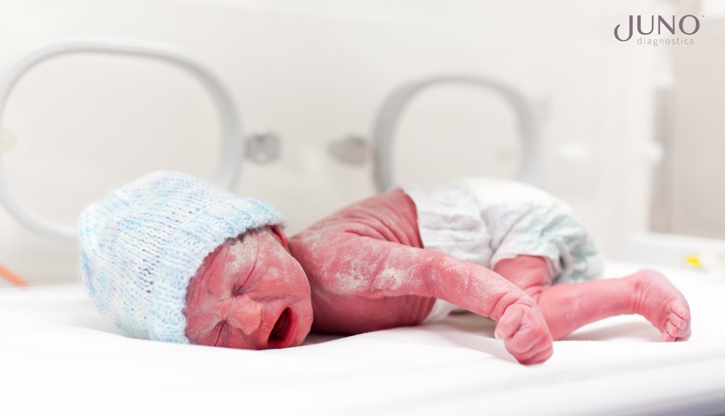 Vernix caseosa is a white, creamy biofilm that coats babies during the last trimester of pregnancy