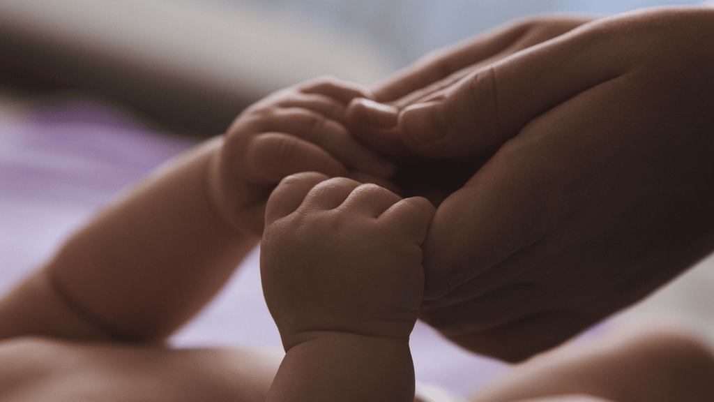 Baby hands held in a parent's hands wearing soft neutral tones 